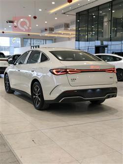 بي واي دي سيل 06 DM-i